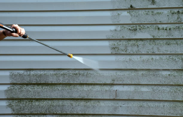 Mold Removal and Inspection in Purvis, MS