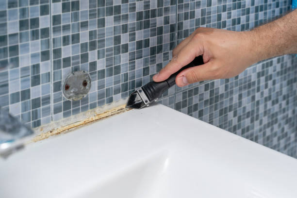 Best Same-Day Mold Removal  in Purvis, MS